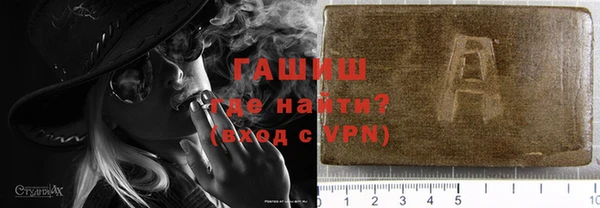 индика Богородицк