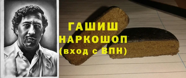 индика Богородицк
