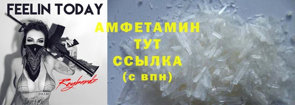 индика Богородицк