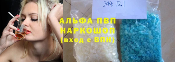 индика Богородицк