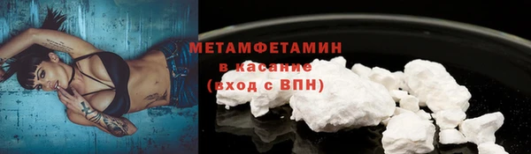 индика Богородицк
