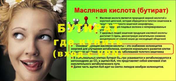индика Богородицк