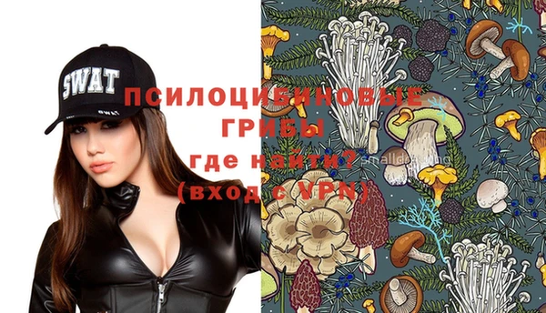 хмурый Богданович