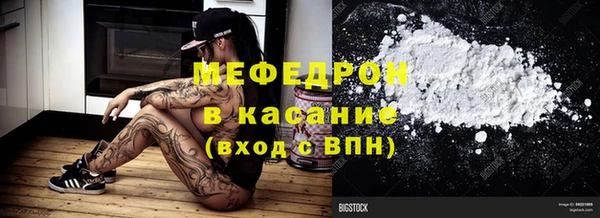 индика Богородицк