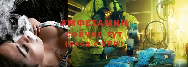 индика Богородицк
