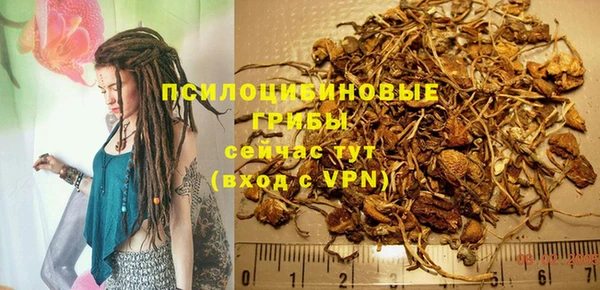прущая мука Богородск