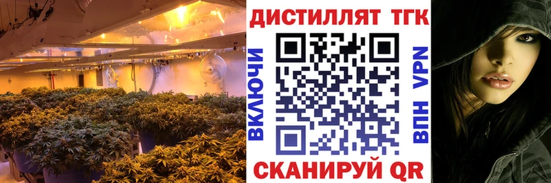 Купить закладки  Ливны  Дистиллят ТГК концентрат 