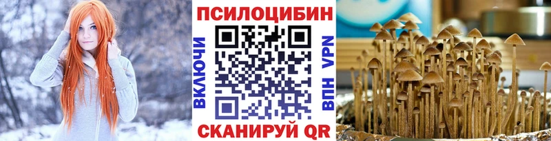 Псилоцибиновые грибы Magic Shrooms  Купить где  Ливны 